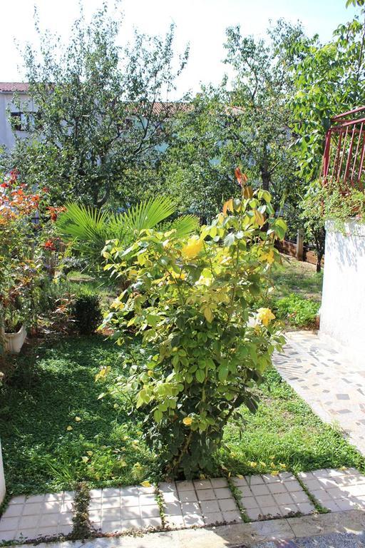 Pet Friendly Apartment In Porec With Wifi חדר תמונה